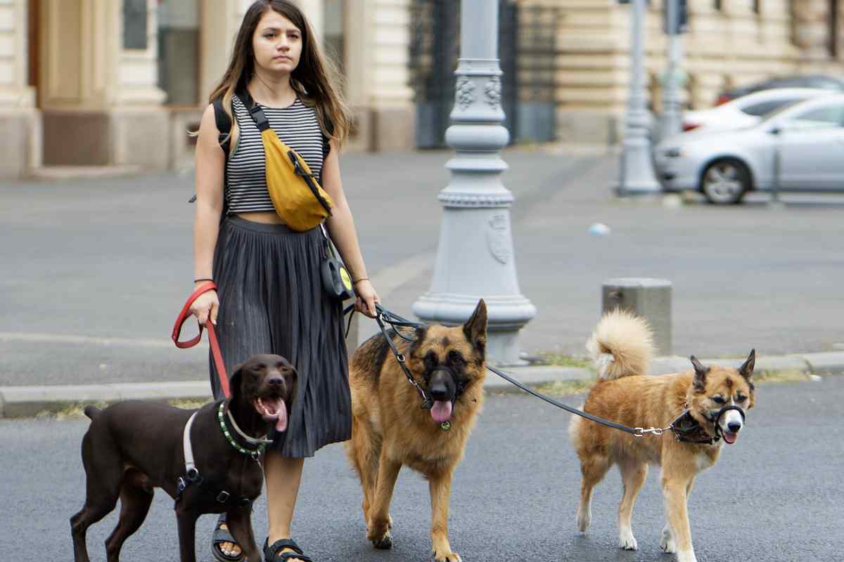 Vacanze senza il cane