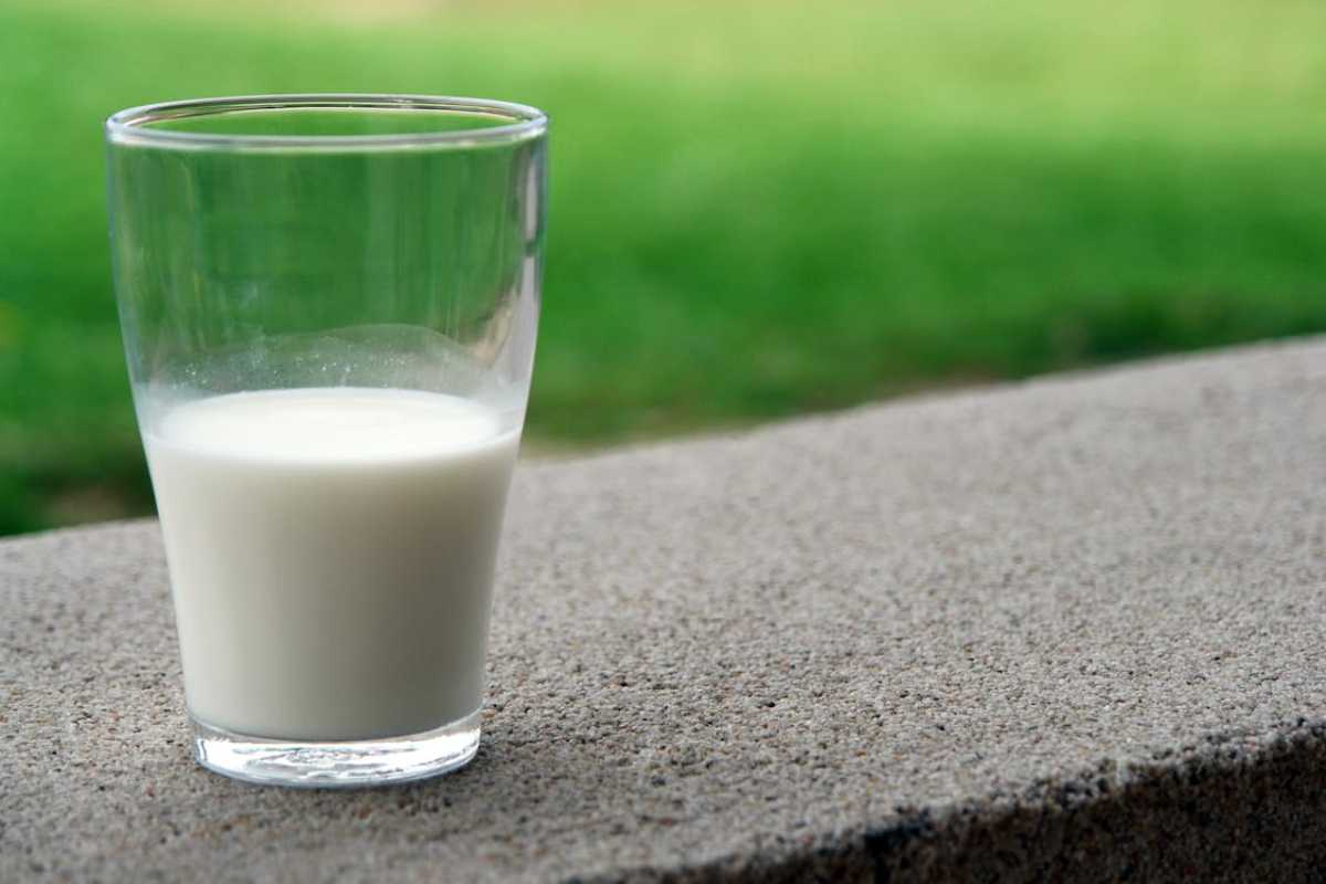 bicchiere di latte su un appoggio in pietra