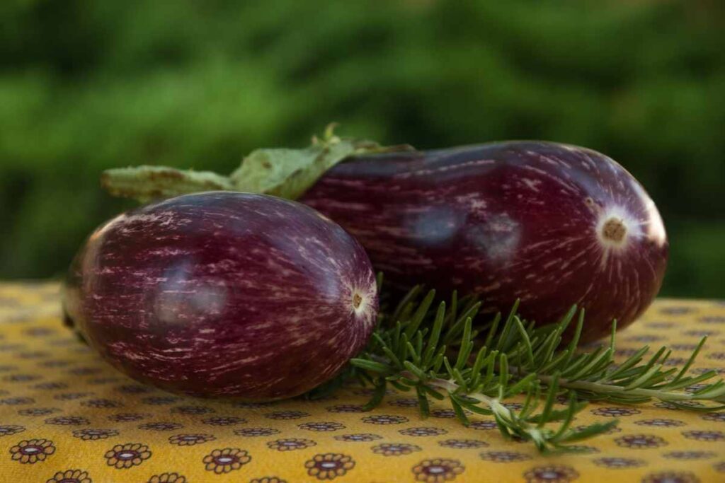 due melanzane sul tavolo