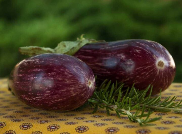 due melanzane sul tavolo