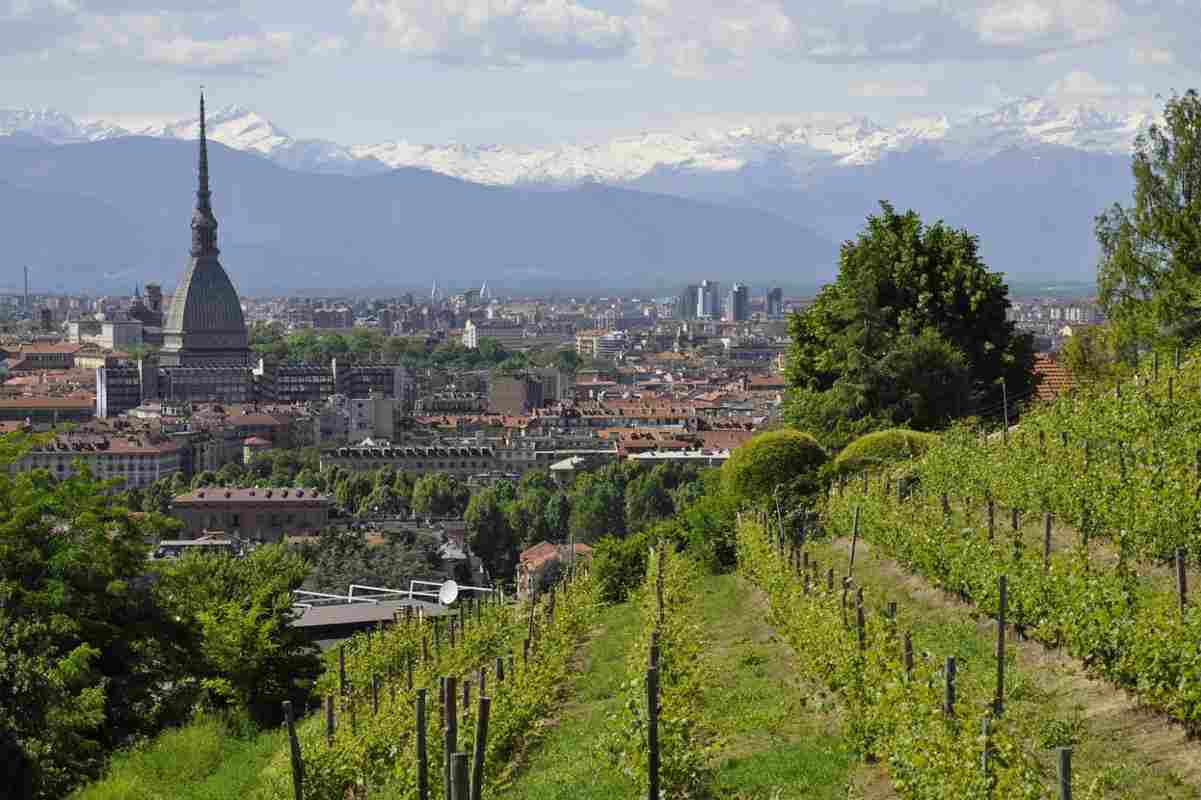 veduta della città di torino