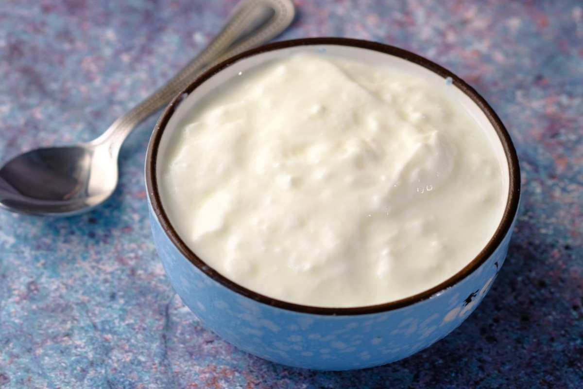 yogurt bianco in ciotola